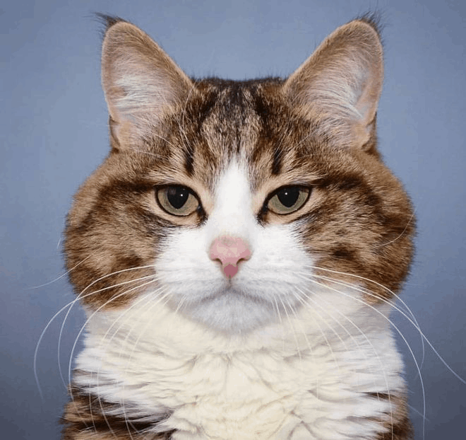 XSJYA的头像-6KE论坛-综合开放交流论坛