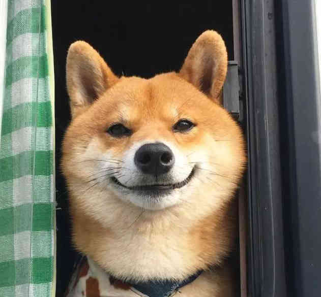 爱趣享的头像-6KE论坛-综合开放交流论坛