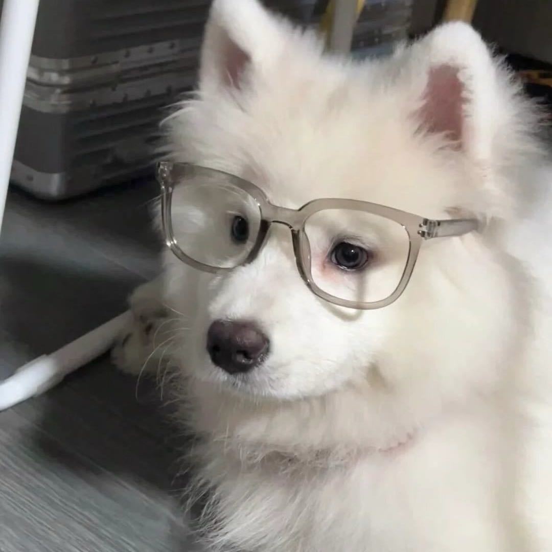 默笙的头像-6KE论坛-综合开放交流论坛