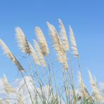 anxin的头像-6KE论坛-综合开放交流论坛