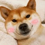 王大锤的头像-6KE论坛-综合开放交流论坛