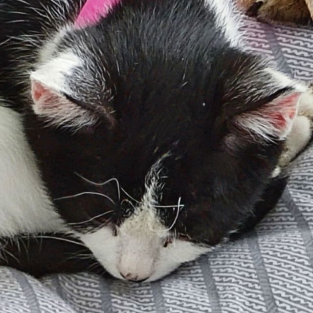 Exist的头像-6KE论坛-综合开放交流论坛