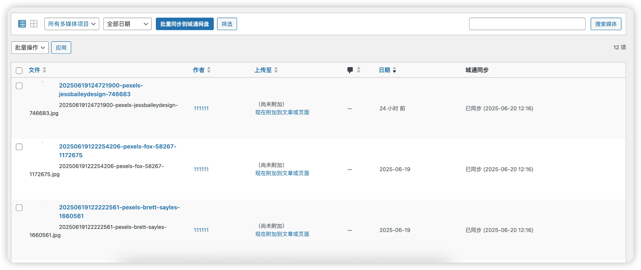 城通网盘附件同步 (CTFile Uploader)-技术论坛-技术-6KE论坛-综合开放交流论坛